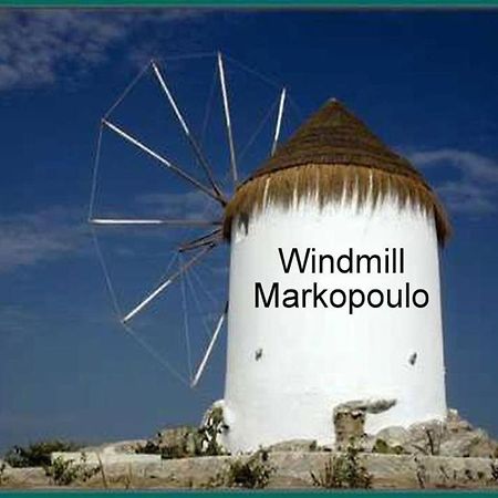 Athens 24-Hours Hostel #Athensairport #Latecheck-In #Privatetransportservice #Groups #Downtown Markopoulo Mesogaias Ngoại thất bức ảnh
